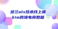 波兰olx 技术线上课，kim跨境电商教程