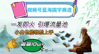 视频号蓝海国学赛道，一发即火，引爆流量池，小白也能轻松上手，月入过万