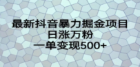 最新抖音暴力掘金项目，日涨万粉，一单变现500+