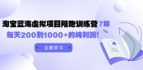 《淘宝蓝海虚拟项目陪跑训练营7期》每天200到1000+的纯利润