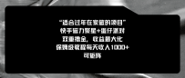 适合过年在家做的项目，快手磁力+蛋仔派对，双重撸金，收益最大化 ，保姆级教程， 每天收入1000+，可矩阵