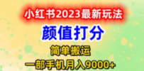 最新小红书颜值打分玩法，日入300+闭环玩法