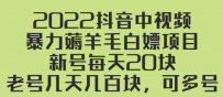 2022抖音中视频暴力薅羊毛白嫖项目：新号每天20块，老号几天几百块，可多号