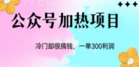冷门公众号加热项目，一单利润300+