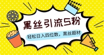 S粉变现，轻松日入四位数，黑丝题材+情感话术【揭秘】