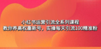 小红书运营引流全系列课程：教你养高权重新号，实操每天引流100精准粉