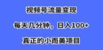 视频号流量变现，每天几分钟，收入100+，真正的小而美项目