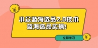 拼多多开店培训第33期：小众蓝海选品2.0技术-蓝海选品运营实操！