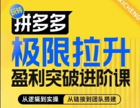 拼多多极限拉升盈利突破进阶课，​从算法到玩法，从玩法到团队搭建，体系化系统性帮助商家实现利润提升