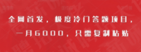 全网首发，极度冷门答题项目，一月6000，只需复制粘贴【揭秘】