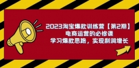 2023淘宝爆款训练营【第2期】：电商运营，学习爆款思路 实现利润增长