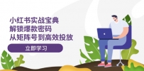 小红书实战宝典：解锁爆款密码，从矩阵号到高效投放