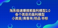 淘系极速搜索盈利模型2.0，揭示各类目标品和非标品的盈利模型，发现小类目的高客单秘诀