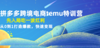 拼多多跨境电商temu特训营：先入局吃一波红利，从0到1打造爆款，快速变现