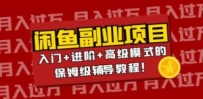 月入过万闲鱼副业项目：入门+进阶+高级模式的保姆级辅导教程
