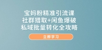 宝妈粉精准引流课，社群猎取+闲鱼爆破，私域批量转化全攻略