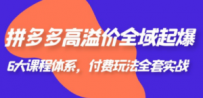 拼多多-高溢价 全域 起爆，6大课程体系，付费玩法全套实战