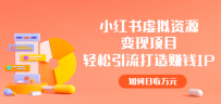 小红书虚拟资源变现项目，轻松引流打造赚钱IP，如何日收万元