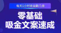 零基础吸金文案速成：小白也可以写出爆款文章，每天一小时收益翻几倍