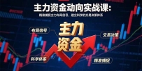 主力资金动向实战课-8月：精准捕捉主力布局信号，建立科学的交易决策体系