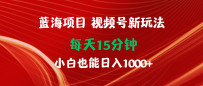 蓝海项目视频号新玩法 每天15分钟 小白也能日入1000+