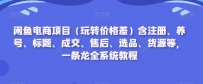 闲鱼电商项目（玩转价格差）含注册、养号、标题、成交、售后、选品、货源等，一条龙全系统教程