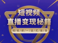 短视频风口直播电商课程，让你投产翻倍的直播间流量精准打法详解