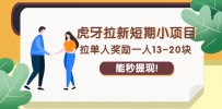 绅白不白·虎牙拉新短期小项目，拉单人奖励一人13-20块 日赚300+