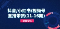 抖音/小红书/视频号/直播带货(11-16期)，快速掌握平台规则，打造爆款内容