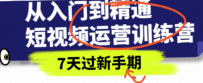 从入门到精通短视频运营训练营，理论、实战、创新，7天过新手期