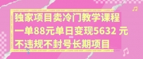 独家项目卖冷门教学课程一单88元单日变现5632元违规不封号长期项目【揭秘】