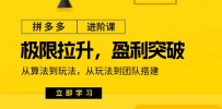 拼多多·进阶课：极限拉升/盈利突破：从算法到玩法 从玩法到团队搭建-18节