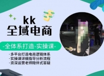 KK全域电商，全体系打造实操课，多平台打造电商逻辑体系