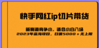2023爆火的快手网红IP切片，号称日佣5000＋的蓝海项目，二驴的独家授权