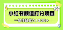 适合0基础小白的小红书颜值打分项目，一条作品收入1000+