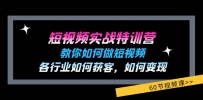 短视频实战特训营：教你如何做短视频，各行业如何获客，如何变现 (60节)
