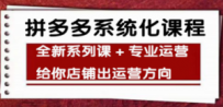 车神陪跑，拼多多系统化课程，全新系列课+专业运营给你店铺出运营方向