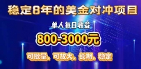 稳定8年的美金对冲创业项目，单人每日收益800-3000，小众暴力项目