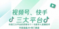 视频号、快手、抖音三大平台的剪辑与数字人直播技术，内容涵盖20+热门赛道