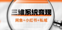 三维系统变现项目：普通人首选-年入百万的翻身项目，闲鱼+小红书+私域