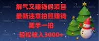 解气又赚钱的项目，最新违章拍照赚钱，随手一拍，轻松收入3000+