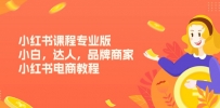 小红书课程专业版，小白，达人，品牌商家，小红书电商教程（15节）