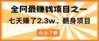 小白必学项目，纯手机简单操作收益非常高!年前翻身！