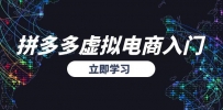 拼多多虚拟电商入门，精准选品方法论，无货源模式起盘技巧