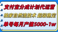 支付宝分成计划代运营，最新自然流技术，收益稳定，单号月产5000＋