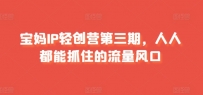 宝妈IP轻创营第三期，人人都能抓住的流量风口