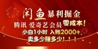 闲鱼全新暴力掘金玩法，官方正品影视会员无成本渠道！小白1小时收