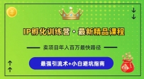 IP孵化训练营，知识付费全流程+最强引流术+小白避坑指南