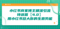 小红书商家 博主精准引流特训营【4.0】用小红书放大你的生意势能