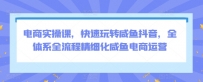 电商实操课，快速玩转咸鱼抖音，全体系全流程精细化咸鱼电商运营